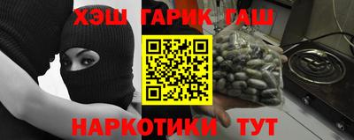 альфа пвп Новодвинск