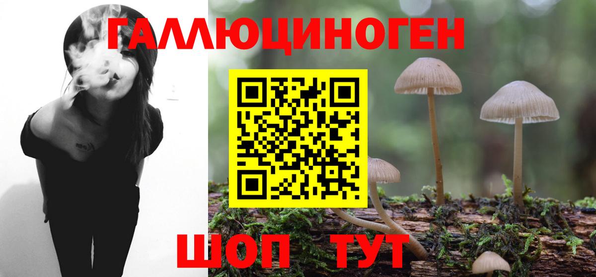 купить закладку  Вход с VPN  Рязань  Псилоцибиновые грибы GOLDEN TEACHER 